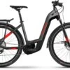Haibike Trekking 9 I625Wh Anthracite/red 2022 - E-Bike Trekkingrad Tiefeinsteiger