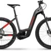 Haibike Trekking 9 Cross I625Wh Anthracite/red 2022 - E-Bike Crossrad Tiefeinsteiger
