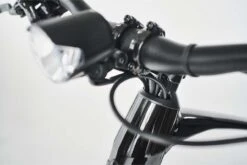 Diamant 365 (Highstep) Tiefschwarz 2023 - E-Bike Trekkingrad Herren 9 Diamant 365 (Highstep) Tiefschwarz 2023 - E-Bike Trekkingrad Herren -Elektrofahrradladen 5268432 Diamant 365 Highstep Tiefschwarz 2023 E Bike Trekkingrad Herren 4 1280x1280