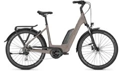 Kalkhoff Entice 1.B Move Moonstonegrey Matt 2023 - E-Bike Hardtail Mountainbike Tiefeinsteiger