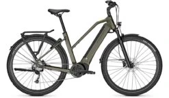 Kalkhoff Entice 5.B Season Urbangreen Matt 2023 - E-Bike Hardtail Mountainbike Damen