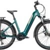 Conway Cairon SUV 3.0 625 Moos Metallic / Platin Matt 2022 - E-Bike Hardtail Mountainbike Tiefeinsteiger