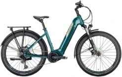 Conway Cairon SUV 3.0 625 Moos Metallic / Platin Matt 2022 - E-Bike Hardtail Mountainbike Tiefeinsteiger