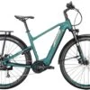 Conway Cairon T 3.0 625 Moos Metallic Matt / Platin Matt 2022 - E-Bike Trekkingrad Herren